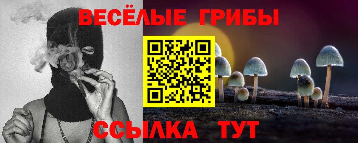 Галлюциногенные грибы Psilocybe  Вход с VPN  Псилоцибиновые грибы Psilocybine cubensis  Симферополь 